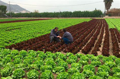 No momento, você está visualizando Agricultora com documento indicando ser doméstica? E AGORA?
